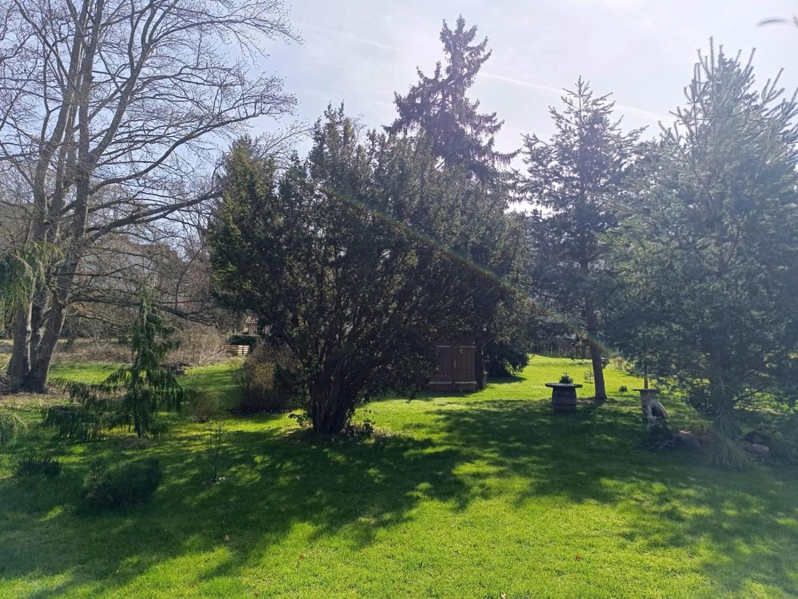 Ferienwohnung Waldblick Bad Dürrheim Exterior foto